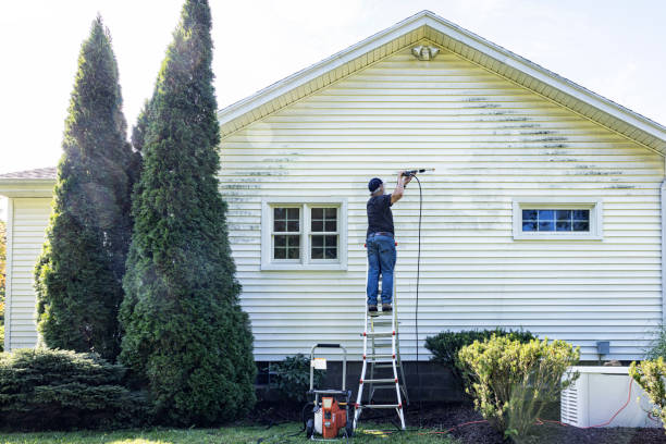 Reliable North Springfield, VA Pressure Washing Services Solutions