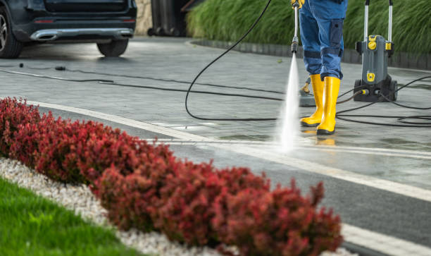 Best Gutter Cleaning and Brightening in North Springfield, VA